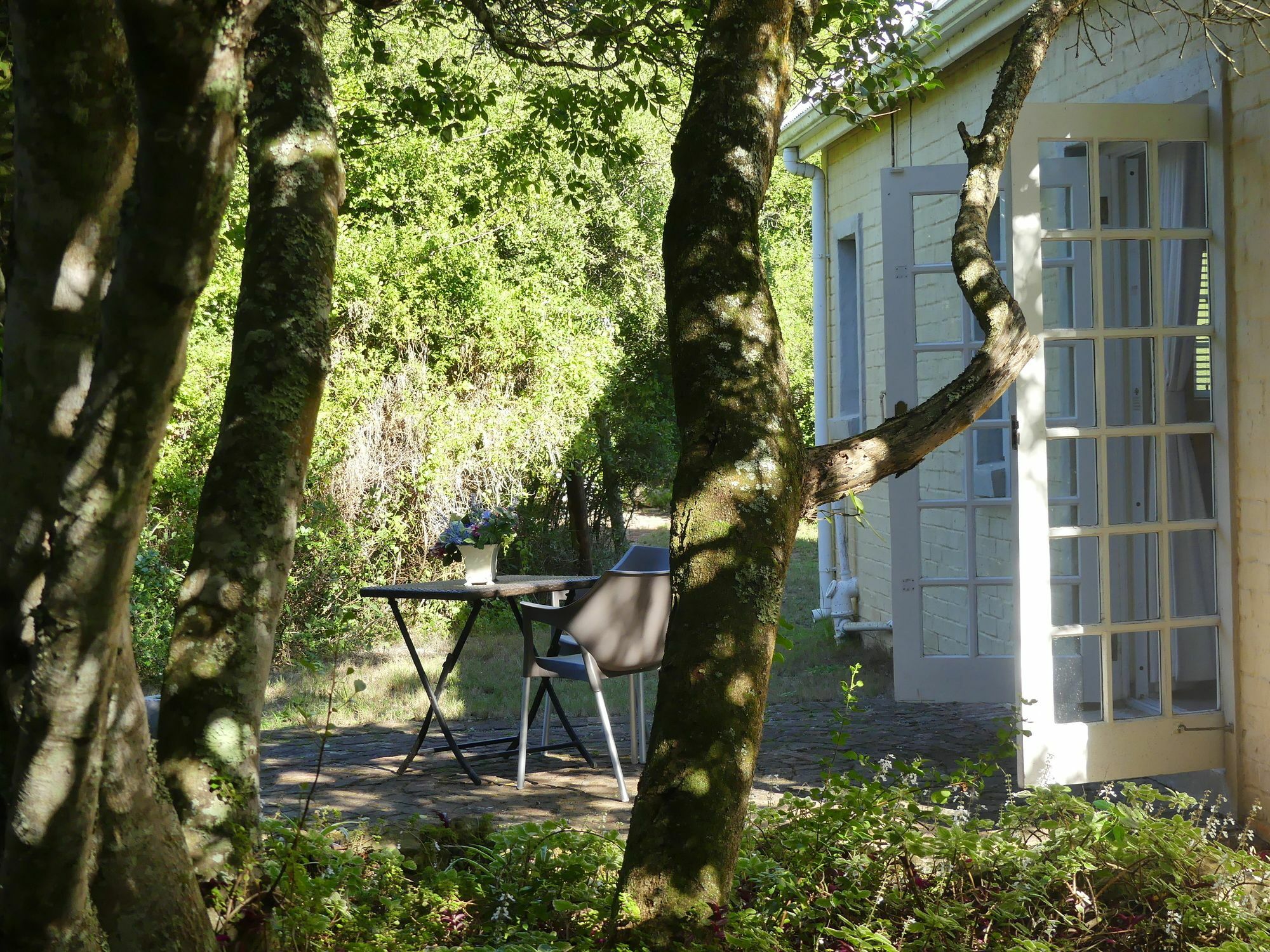 The Plantation Bed and Breakfast Port Elizabeth Exteriör bild